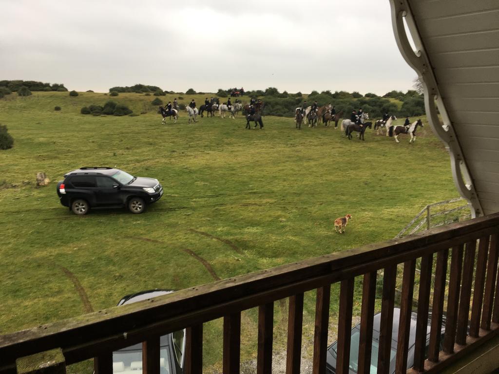 The Curragh Country House Accommodation Newbridge  Exteriér fotografie